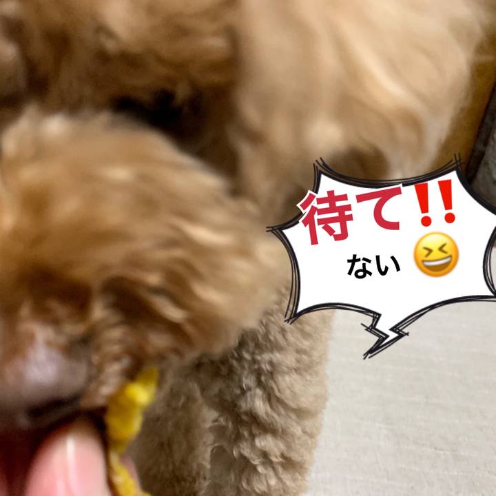 4ce065ec 1ce7 41e4 973f 29a1775b330c 1542966569961