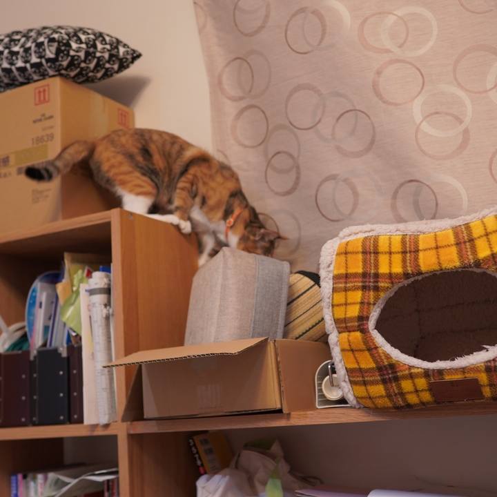 4ce0934d e29d 4889 90b1 710e9dc4c45a 1608128161395