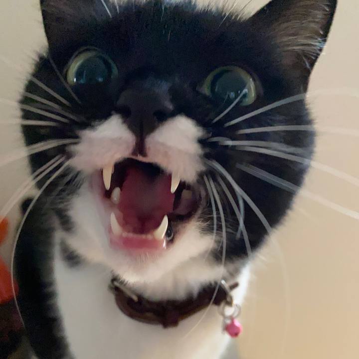 4ce09d50 e052 4e06 8cea 015287275996 1686608571767