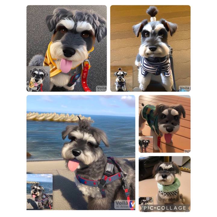 4ce0b6ee 30bd 4b59 a67c 73ae1552ea48 1674481906956