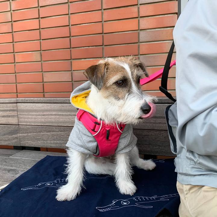 4ce0d19e 57f0 4127 8990 397ecba8c7ee 1575114572076