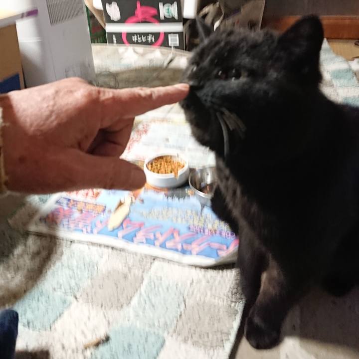 4ce1079a 1ad3 47de a924 f525f25189d1 1650101738146