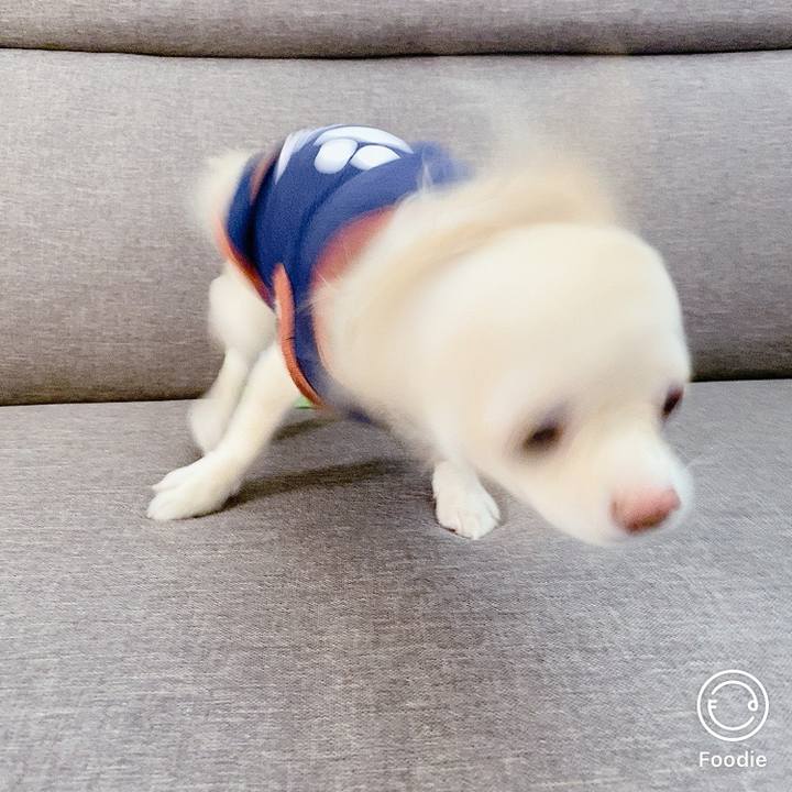 4ce11dd0 c9e7 4f82 aa01 2e8a50fe404c 1603786918871