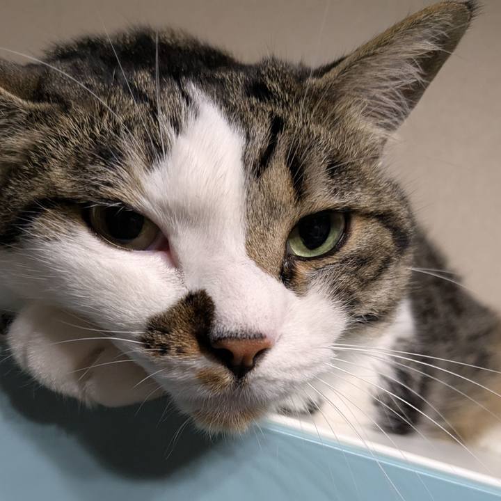 4ce1bda4 ce6a 4ae4 b9d3 5dff89e75acf 1750246343184