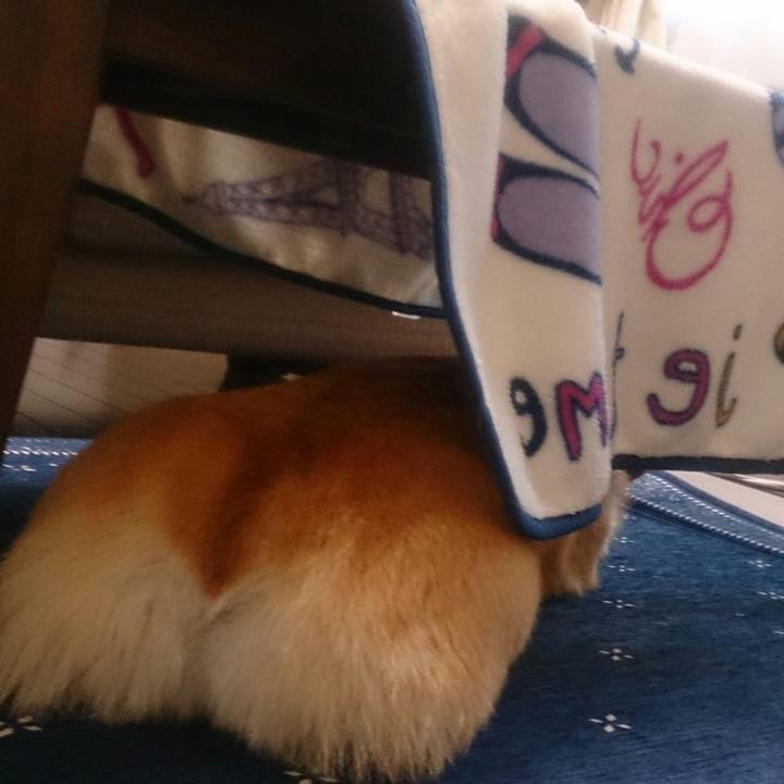 4ce1d6be eb39 4ce6 b765 6c8e2437a817 1513745848986