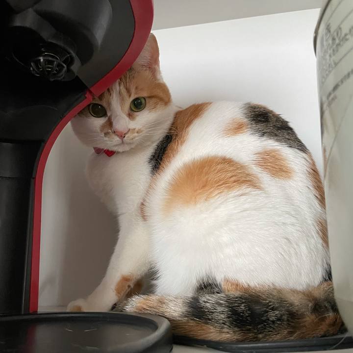 4ce22317 c16e 426a a7fe 47e65f39ffe5 1616203910043