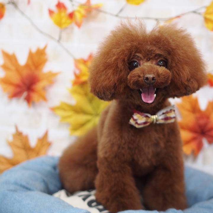 4ce30916 7a97 4a16 abdf 569a1bd81aaf 1511513104881