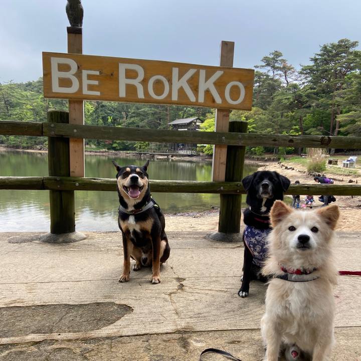 4ce31714 79da 4d62 bf91 8e4732672f83 1651456506274