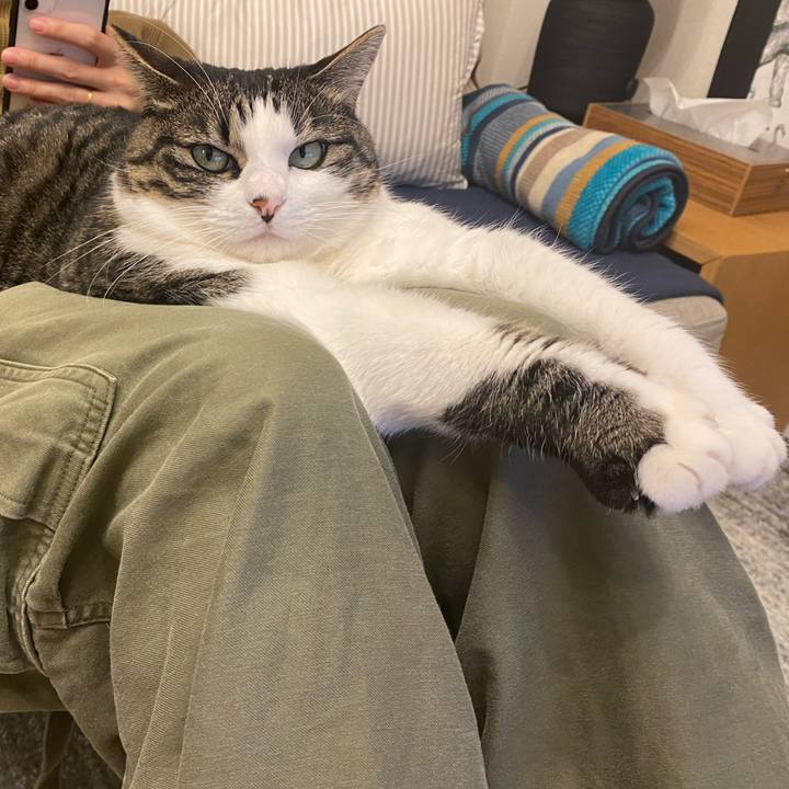 4ce331e2 a574 42a6 a5bb 7141a798a584 1635809386441