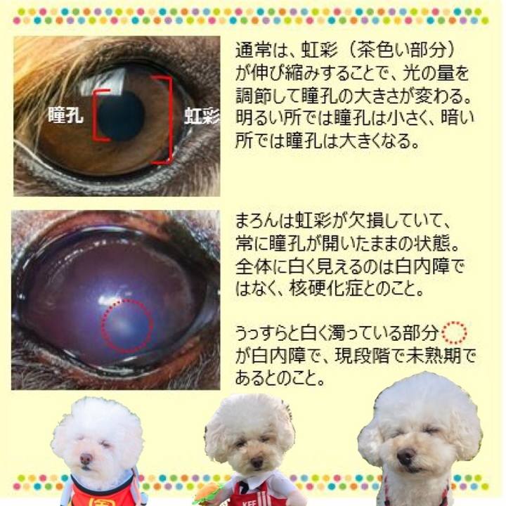 4ce334bf 22f6 4fc0 8f83 a3ced8b6fb62 1529130665486