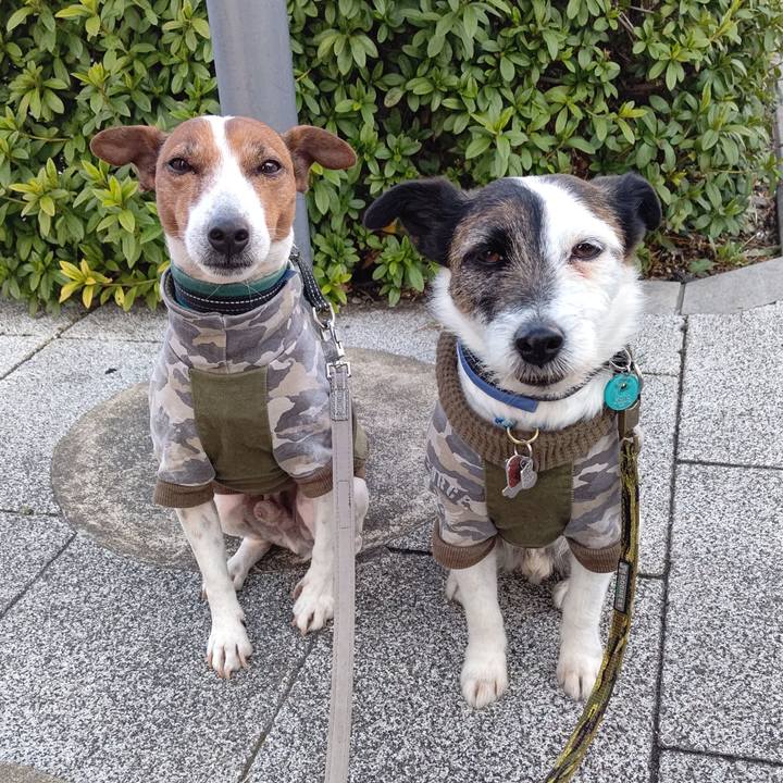 4ce34e2c 4dc5 40d3 873c ede1da601a9c 1709505885039