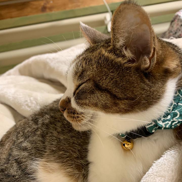 4ce3701c d2da 4300 b0bb 0b866c184145 1577099299036