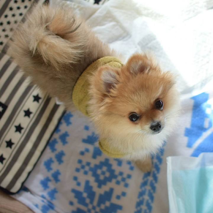 4ce38033 592c 47c8 8284 12aa0a6b06a6 1516420740553