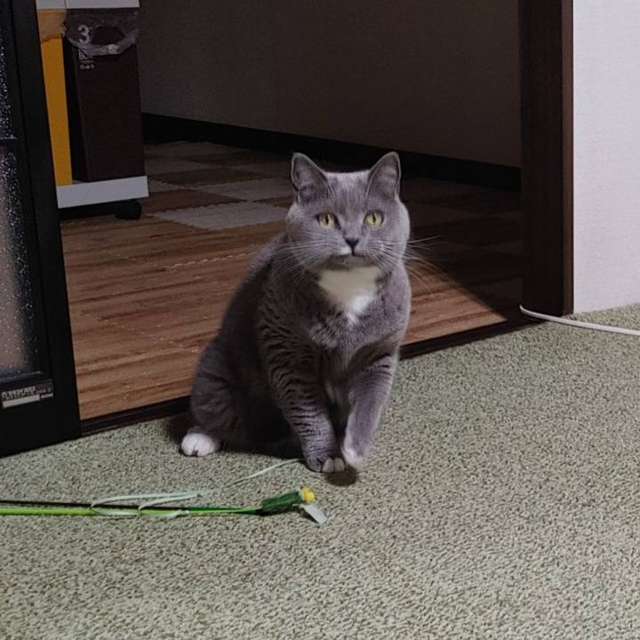 4ce3c3d0 51a9 4f51 a6a3 35421ce271d8 1685785561308