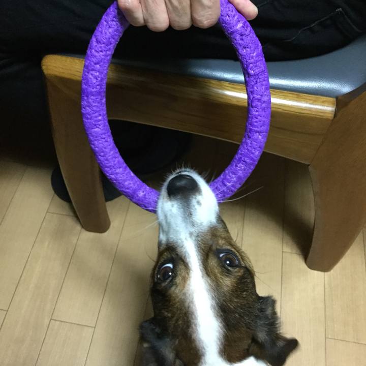 4ce3ca6b f72b 4f24 bb07 977349808c6f 1518257209696