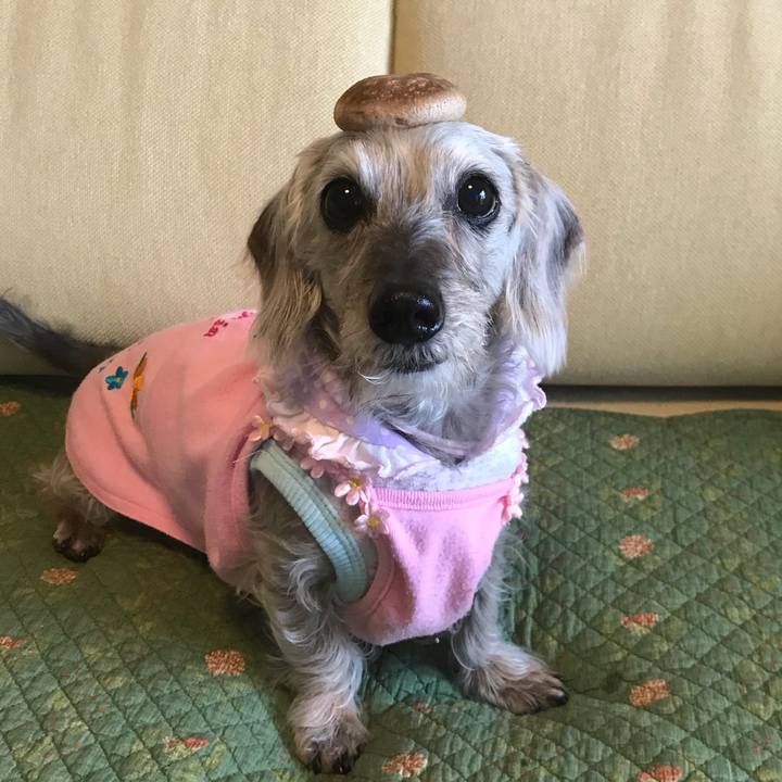 4ce3ca7c 0b02 4383 ab78 ef3bf12c3aad 1510628950480