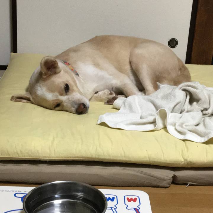 4ce3d6e8 c021 42e2 929d 78c154314100 1539780756643