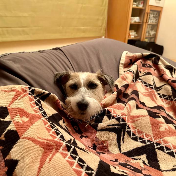 4ce4108f 3398 4020 a99d 6b0692e39d53 1701697808113