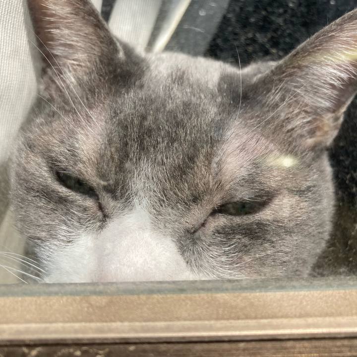 4ce46b51 b542 42f0 8db1 436b1f59b71b 1742816593150