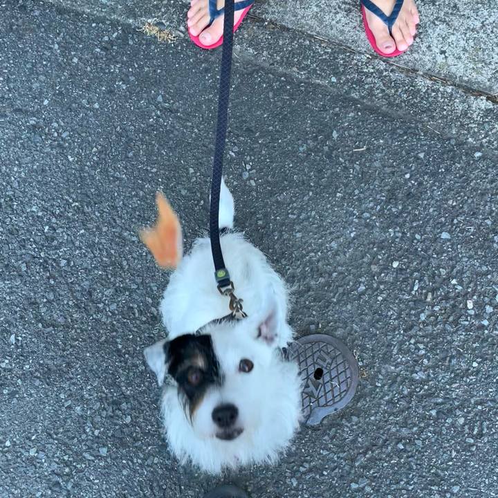 4ce4778f 8274 40ee 894a 124e2b45b43f 1690583680869