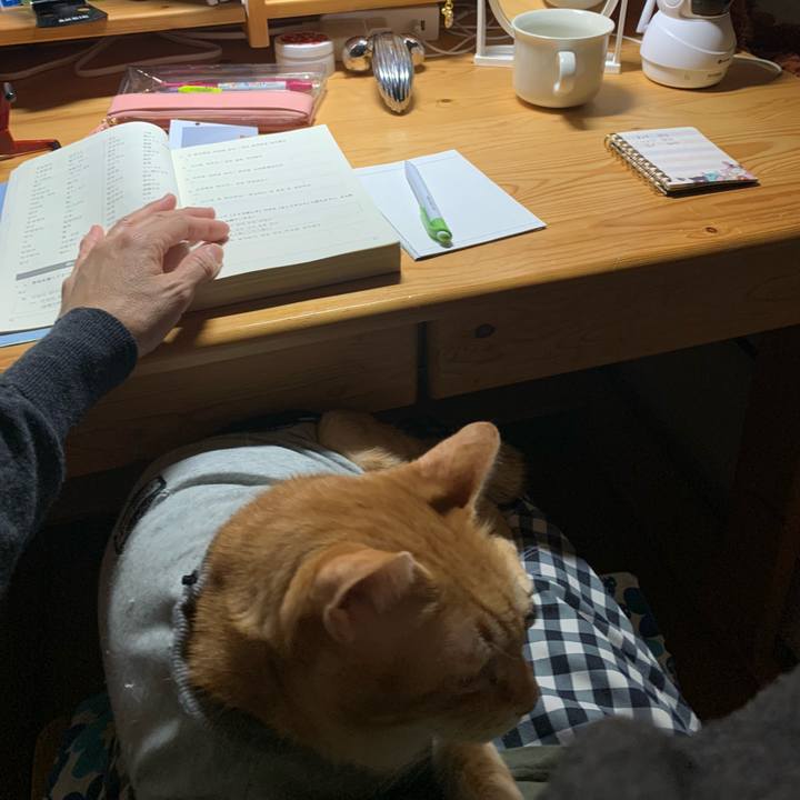 4ce48751 4dc0 4116 848f af92f1e22a6f 1642014963399