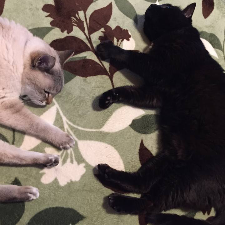 4ce49531 5555 4606 8f08 f40d7517d7ad 1589109532538