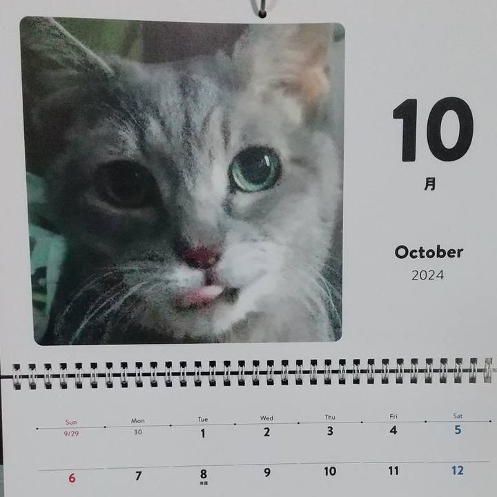 4ce4983c e066 4314 8d89 d188f27d808b 1727734057693