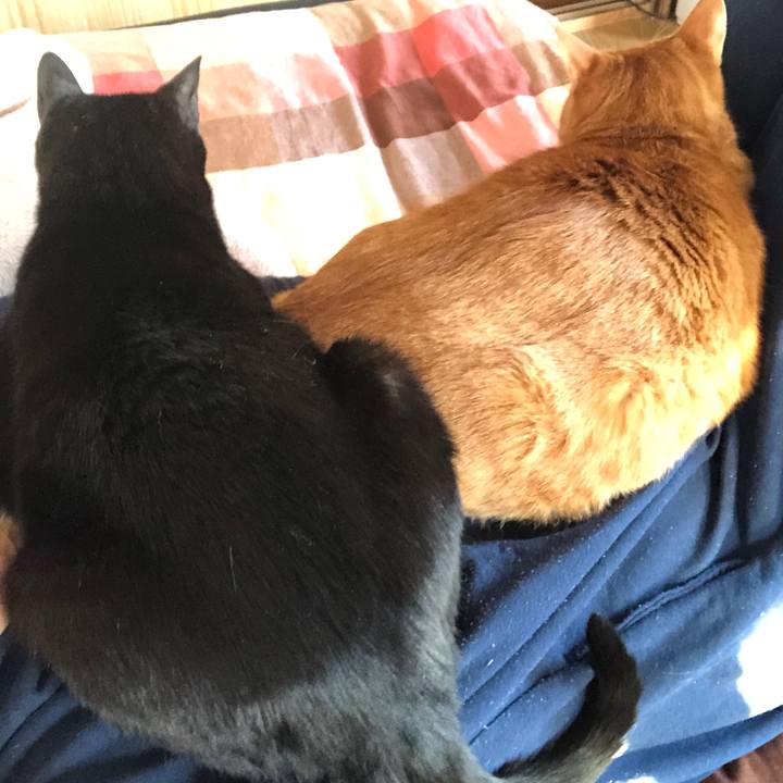 4ce4ba3a 3f8c 4782 81fb 4e34d88e87ca 1714853354802