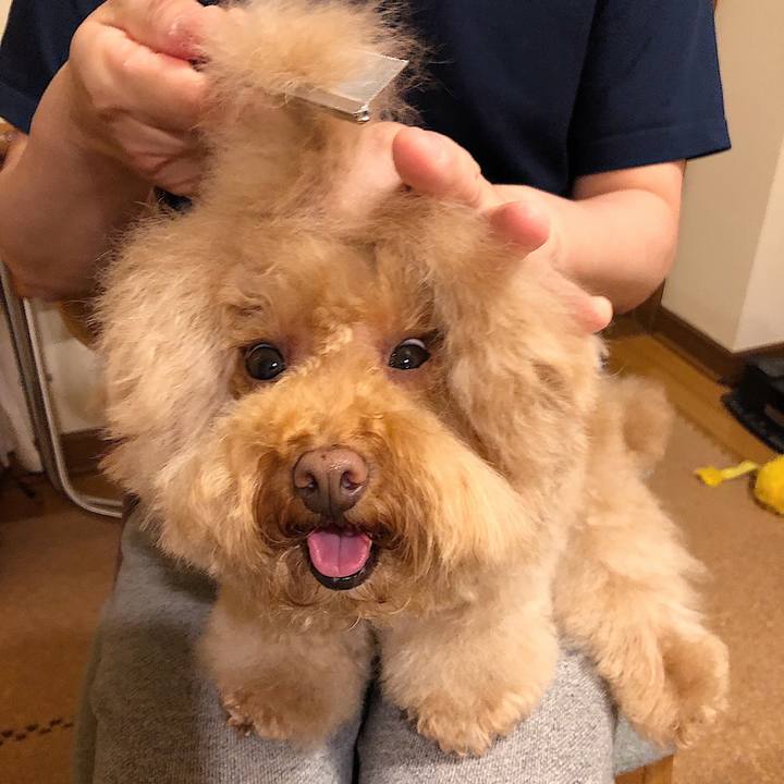 4ce5683d 1c9a 4343 9381 c0f3e483a154 1560167457702