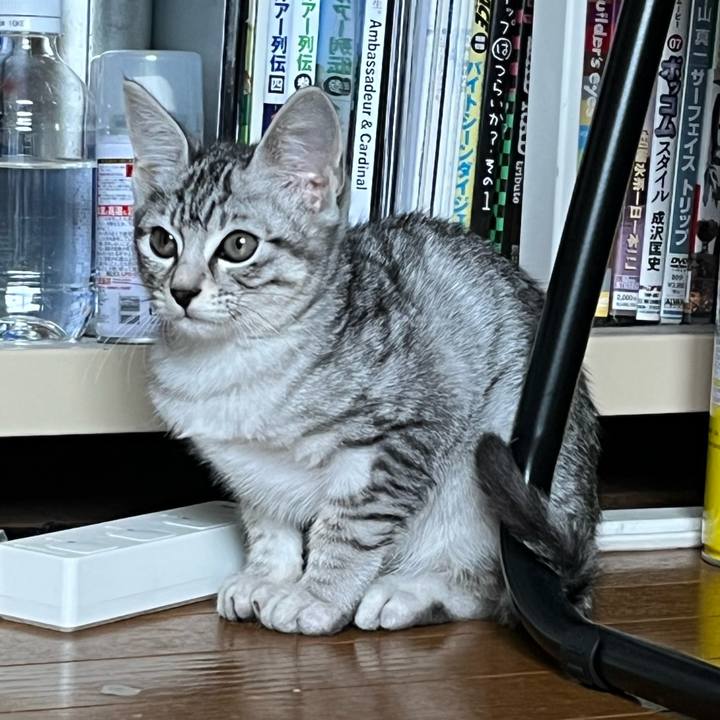 4ce56b43 9eb2 4a41 8449 01b9e5466d62 1697930670225