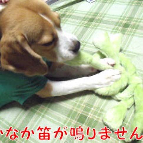 4ce57f55 07f3 41bf 8972 12917b4f77e8 1720309862380