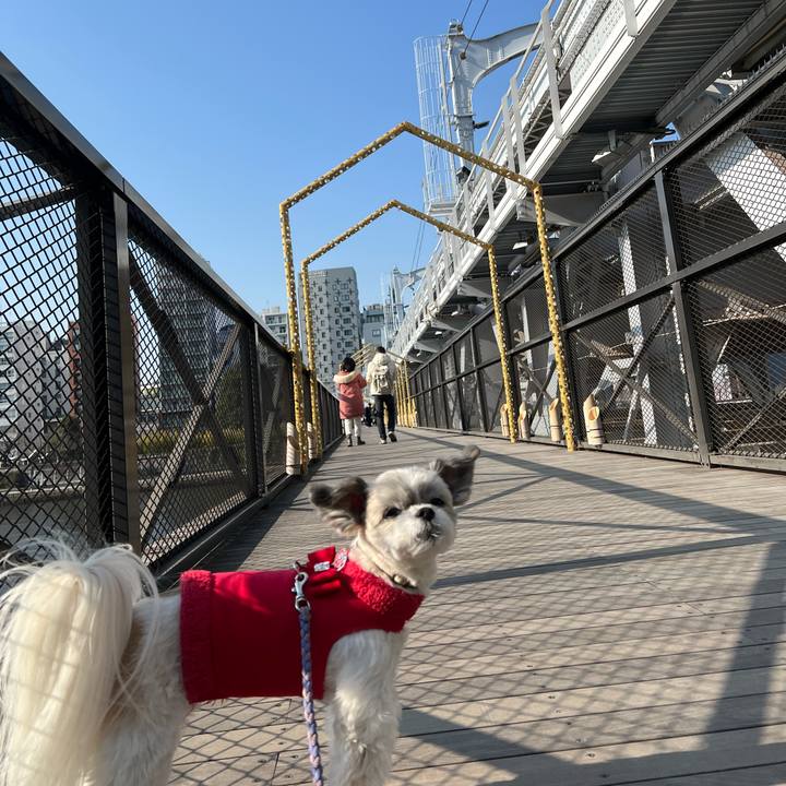 4ce5b682 110f 4e7e a669 c73030375453 1737717742183