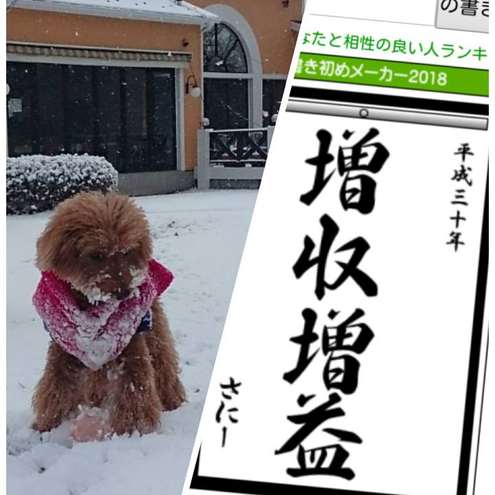 4ce5c8da c755 4e88 87d4 aeb588e75e6a 1514949313565