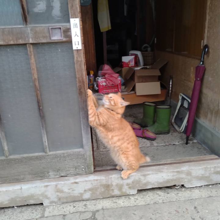 4ce6192e 3edf 4bdf a22f 0612b7e3ada7 1664659640104