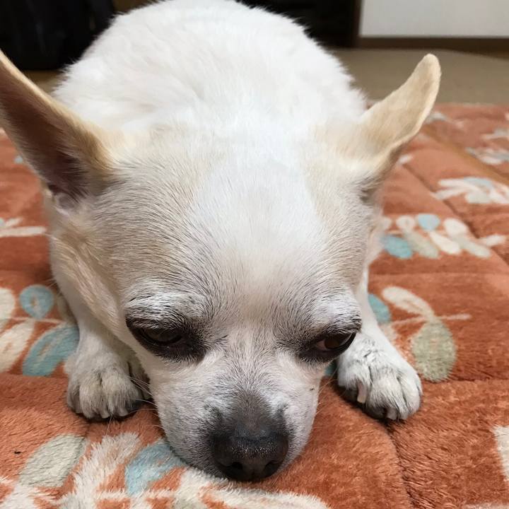 4ce62827 e950 49b5 b257 481c8a2d0d58 1551499888840