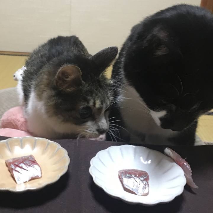 4ce6328f 0905 4cd6 ab19 7c4fc8ad671b 1524397774432