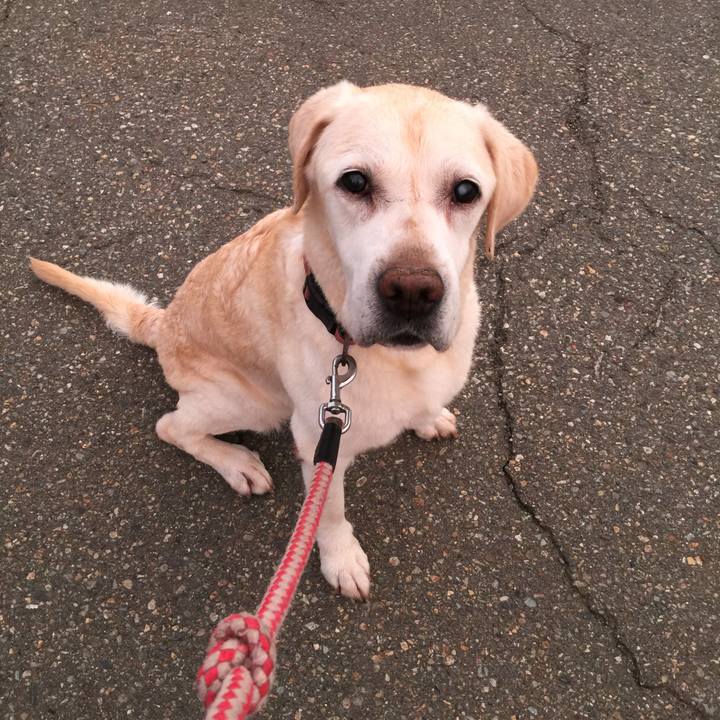 4ce662f3 2efc 4044 bbee 10df4563e63b 1531825944309