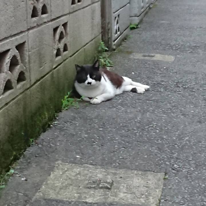 4ce6668a 1bea 440c b2d9 43b1923b5e1b 1686648447392