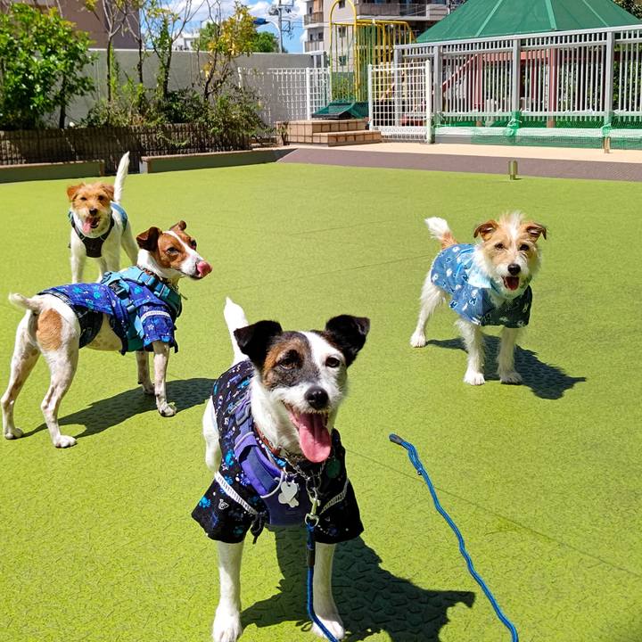 4ce6a234 e71c 4444 92e3 9b6612bea417 1629435257942