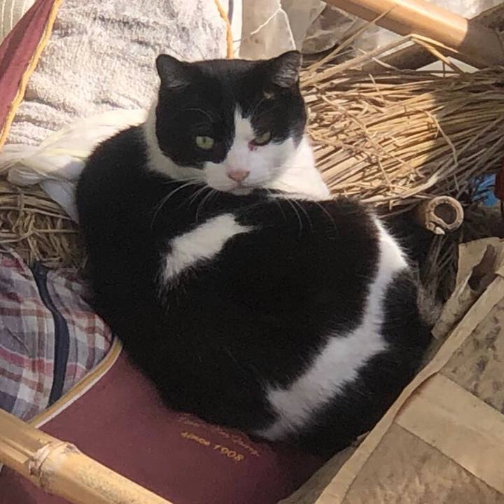 4ce6d8aa e009 4277 87b7 84ae34a8c385 1584078869193