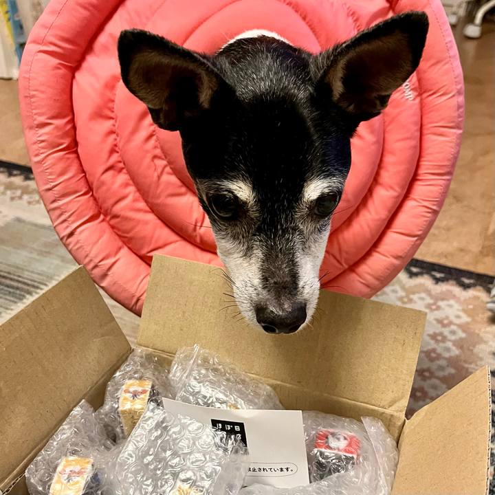 4ce6fbf3 ea0a 4014 83a5 e34a5687ba27 1655293217654