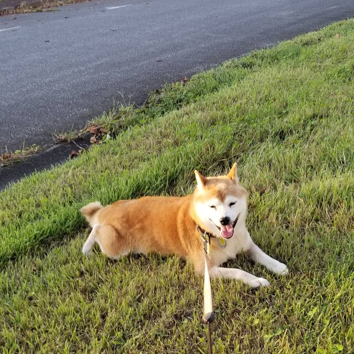 4ce72ca0 b4f1 48a8 917c 8afaf2155224 1662797903000