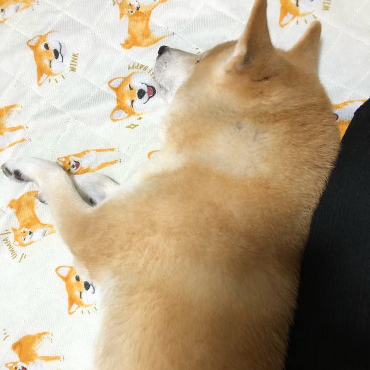 4ce736fa ea60 4fff bea7 e7041ce9a3dc 1602843598792