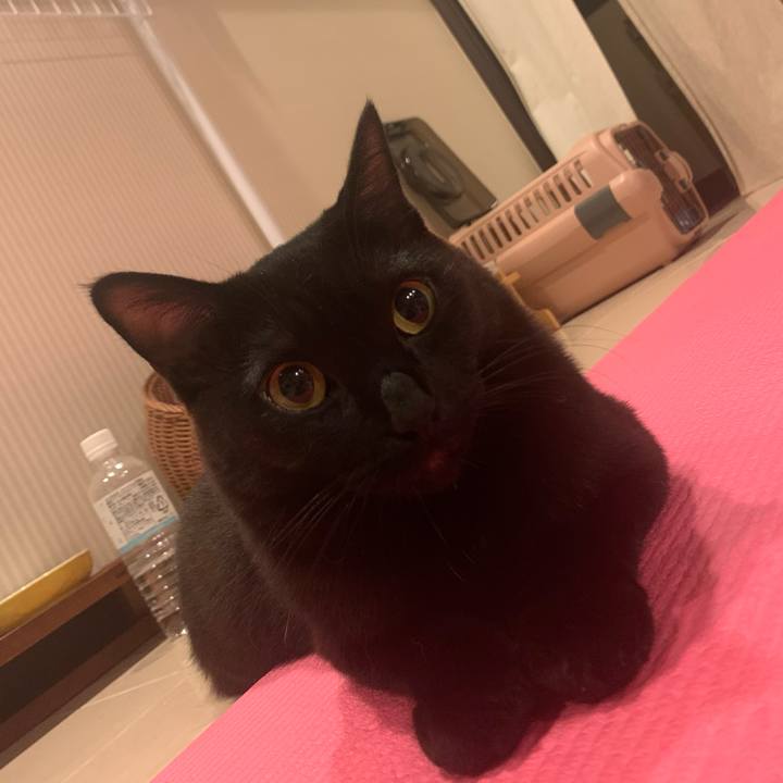 4ce77026 53a9 4517 8130 bb0899e9d0ff 1604275004810