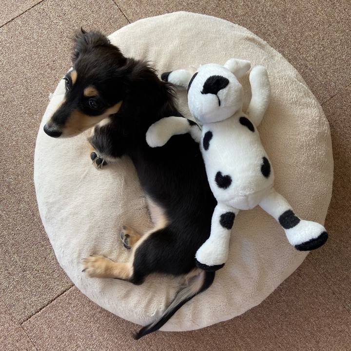 4ce7945b 6170 4d2d a21c 872cb9b48bef 1668750123549