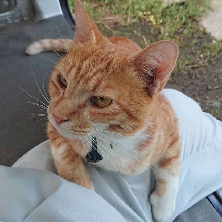 4ce79f48 2c7b 4625 b1a2 ba465ff799fb 1567586570329