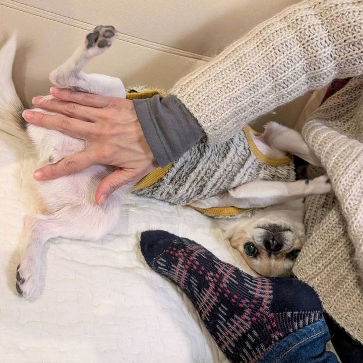 4ce7af3f d92d 4221 8ad2 dc268ce6ad90 1738582825496