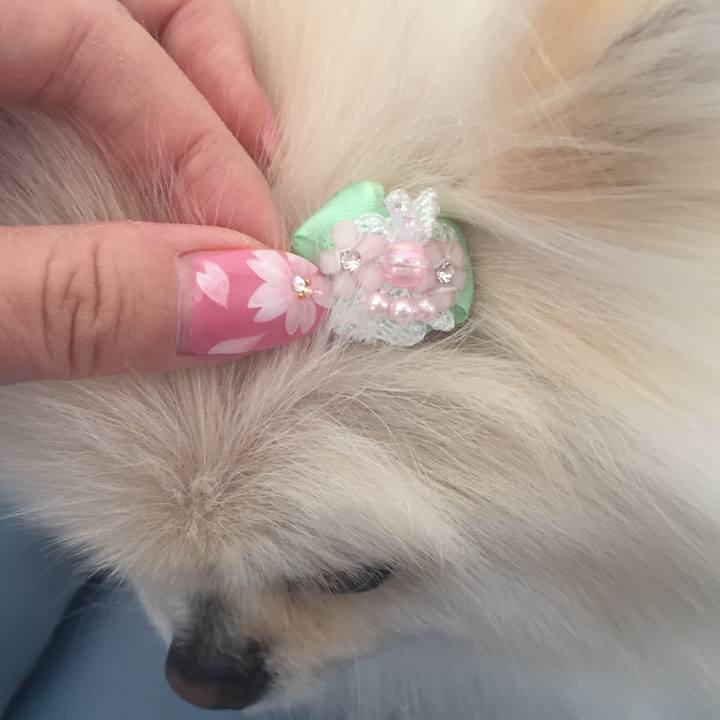 4ce7b2ce 7532 4afd 9779 6ead9ab9d15b 1615772227142