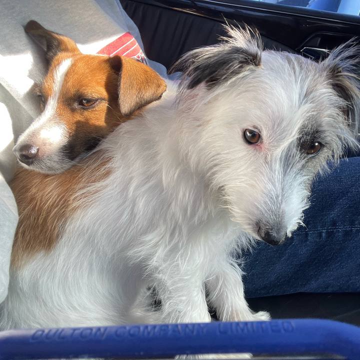 4ce7c4de 2a02 4047 9a97 1516e5234428 1635558300016