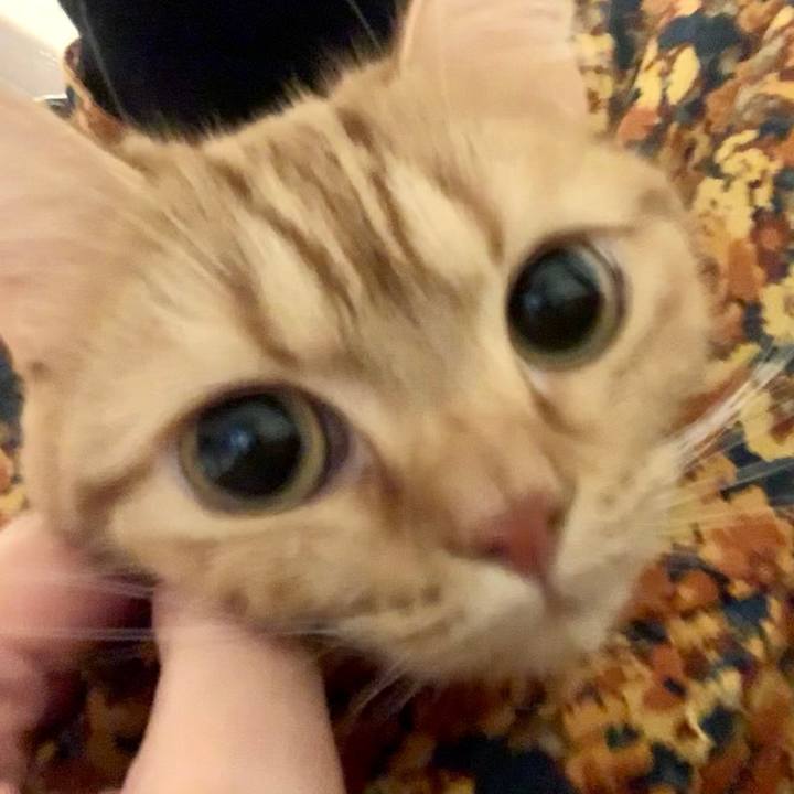 4ce82ced dd1e 40c9 97b1 28436ba49d0e 1578045290219